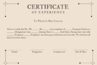 Free Custom Private School Teaching Experience Certificate Template Doc Sample