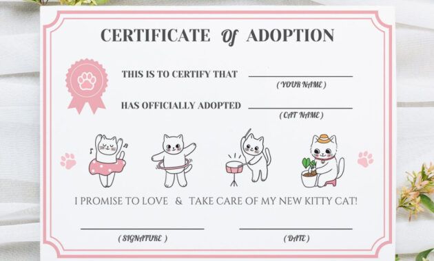 Free Editable Cat Adoption Certificate Template Word Sample