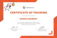 Free Printable Product Training Certificate Template Excel