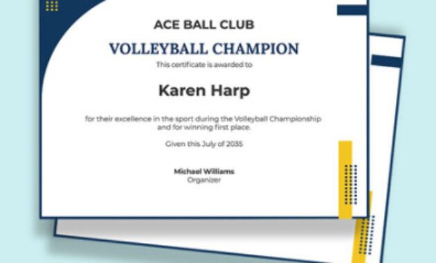 Free  Safety Champion Certificate Template  Sample