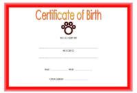 Printable Cat Birth Certificate Template Pdf Sample