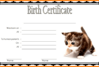 Printable Cat Birth Certificate Template Pdf Sample