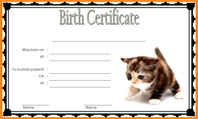 Printable Cat Birth Certificate Template Pdf Sample